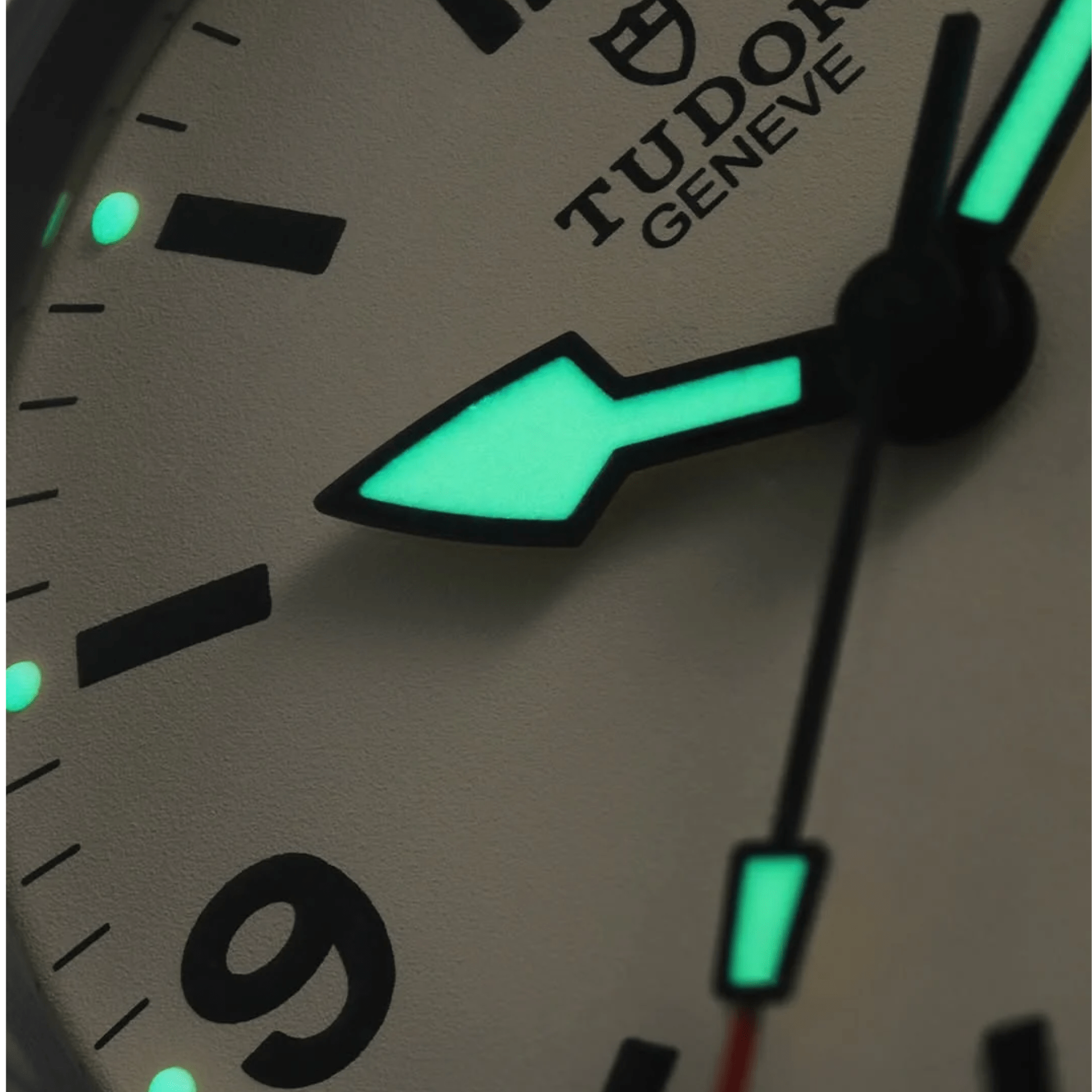 Tudor Ranger Beige 39mm M79950-0008