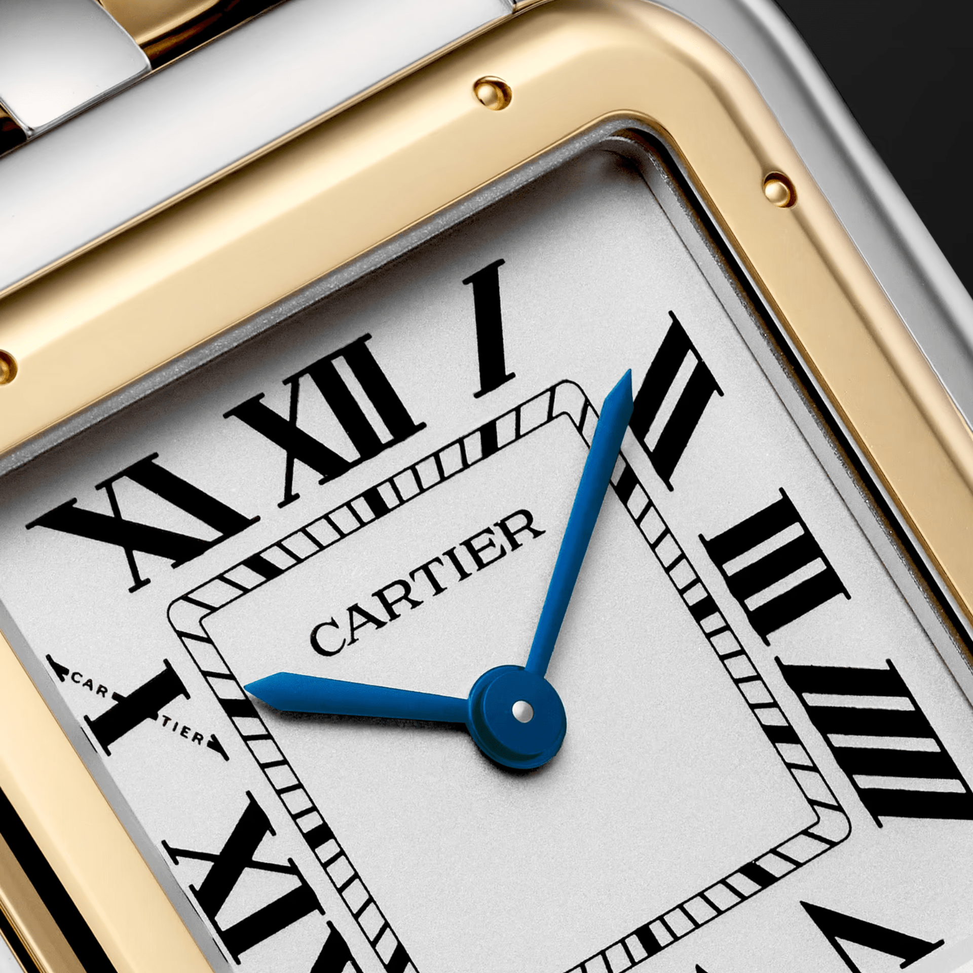 Panthère de Cartier grande acero y oro 42x31mm Ref W2PN0016