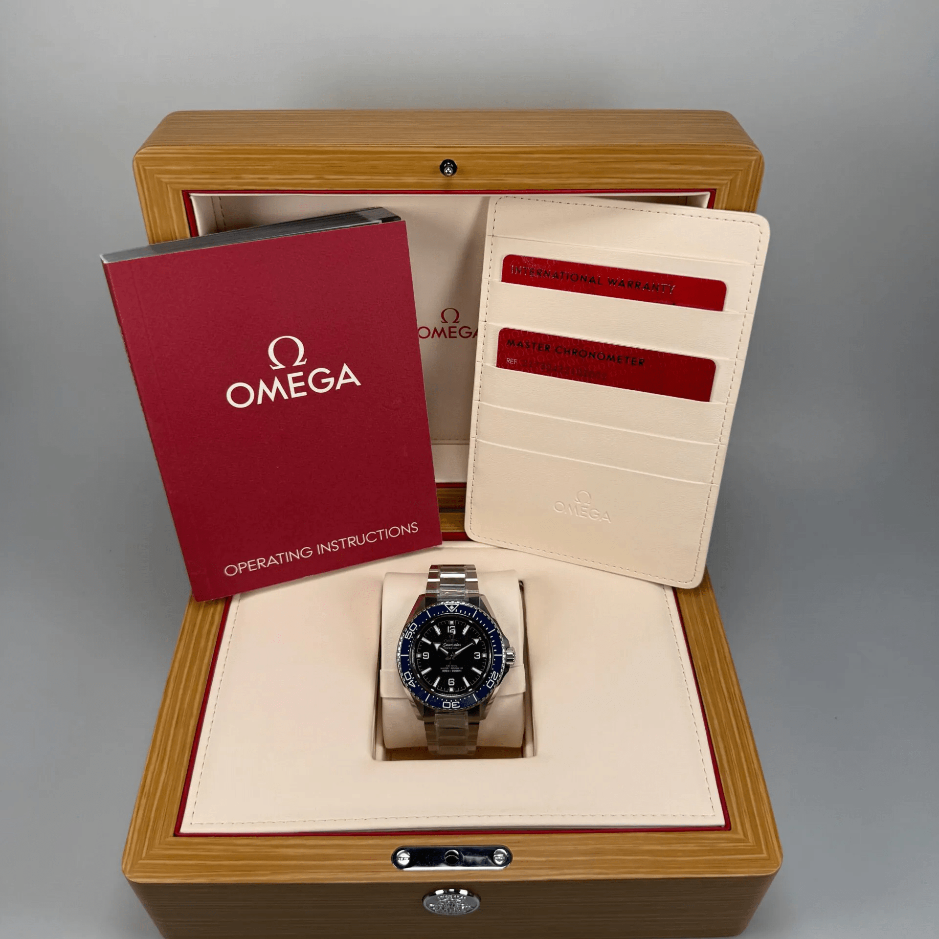 Omega Seamaster Planet Ocean 600m acero 42 mm Ref 217.30.42.21.01.002